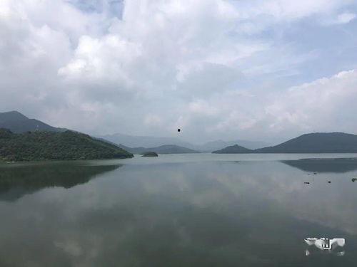 莆田水库爆料最新消息,最新爆料揭示惊人真相！”  第3张